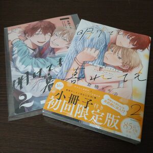 明けても暮れても -続 いつか恋になるまで- 2 小冊子付き初回限定版 (書籍) [竹書房]