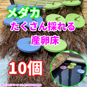 ☆メダカ たくさんとれる 産卵床☆【青×緑 各５個　計１０個】#23 水草 卵 浮草 ホテイ草 布袋草 メダカ 水槽　ラメ 三色　紅白