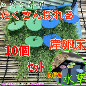 『メダカ たくさんとれる 産卵床』【緑×青 各５個　計１０個】#35 水草 卵 浮草 ホテイ草 布袋草 メダカ 水槽　ラメ 三色　紅白