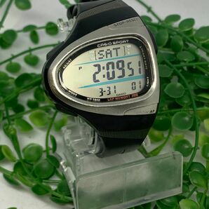 CASIO カシオ　PHY CHR-200J