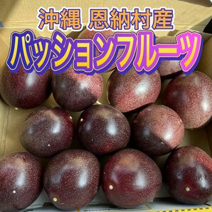 沖縄県産 規格外品 パッションフルーツ