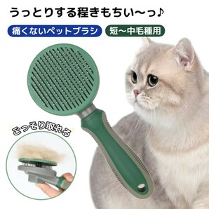 ペットブラシ ワンプッシュ ピンク 猫 ブラシ 短毛 よく取れる ワンタッチ 痛くない 犬 気持ちいい 毛玉 ムダ毛 抜け毛 毛取り ペット ブラの画像8