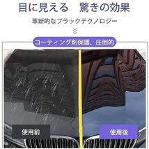 【送料無料】ナノコーティング剤500ml SPRAY 光沢 艶出 保護 洗車【クロス付】_画像4