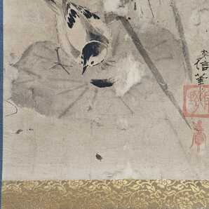 模写 掛軸 狩野安信 蓮鶺鴒之図 肉筆紙本 狩野派の画像4