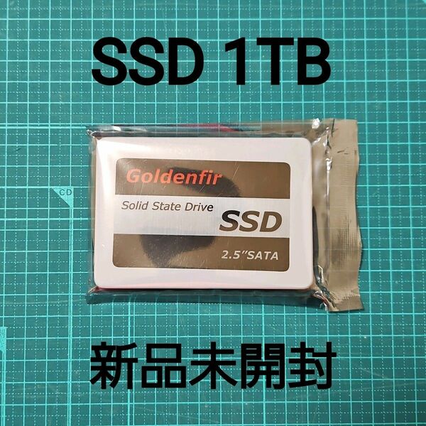 【新品未開封】SSD 1TB Goldenfir その6