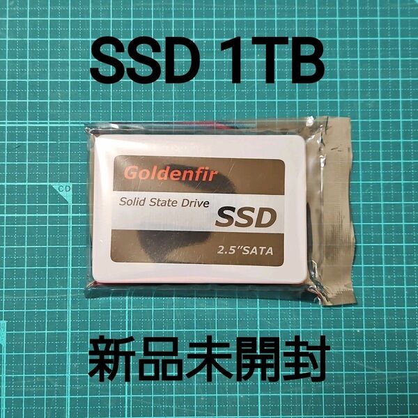 【新品未開封】SSD 1TB Goldenfir その17