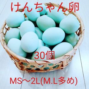 けんちゃん卵MS～2L(M.Lサイズ多め) 30個 朝採れ 平飼い あすなろ卵