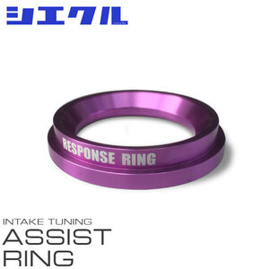 siecle シエクル ASSIST RING アシストリング CT200h ZWA10 2ZR-FXE 11/1〜 (RR01TP