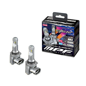 IPF LED エフェクター2 ヘッド＆フォグ バルブ HIR2 6500K