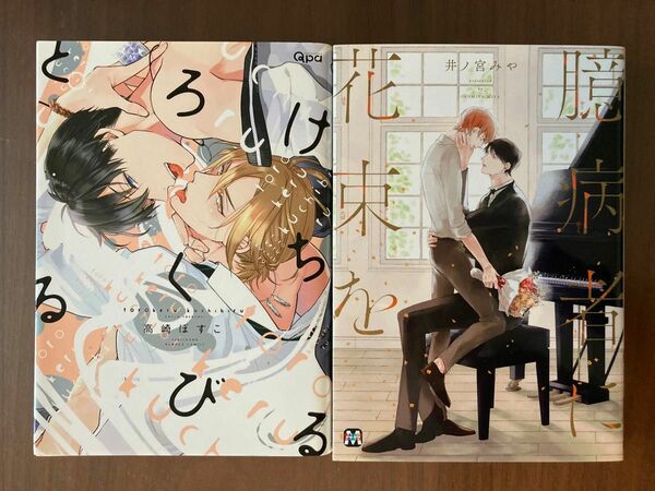 「とろけるくちびる」 高崎ぼすこ 「臆病者に花束を」 井ノ宮みや　2冊セット