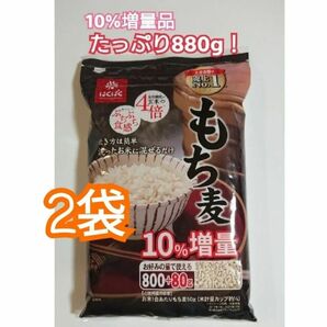 はくばく もち麦 大容量800g + 10%増量品 2袋 コストコ