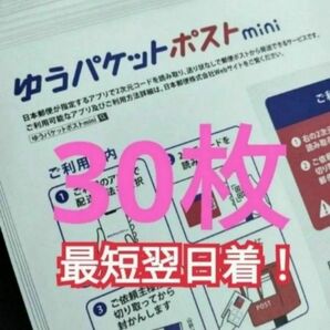 最安値 ゆうパケットポストmini封筒 専用封筒 30枚 折り曲げなし 