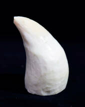 稀少 抹香鯨 マッコウクジラ 鯨歯 牙 100g 彫刻材 天然素材 根付 印材 細密細工 象牙風_画像1
