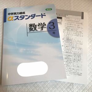 中学実力錬成αスタンダード数学3年 文理