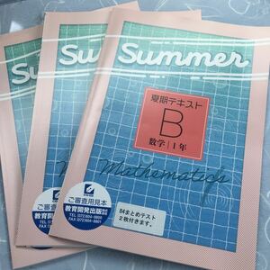 夏期テキストB 数学1年〜3年 教育開発出版　3冊セット