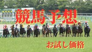 ※今だけ特別価格※ 今春絶好調 競馬 週末 日曜(4/20) ２Ｒ分 予想 お試し価格