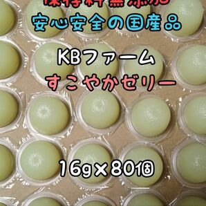 KBファーム すこやかゼリー 国産ゼリー16g 80個 カブトムシ クワガタ 昆虫