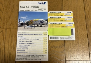 送料無料　全日空(ANA)の株主優待割引券3枚セット