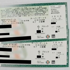 6月16日（日）福岡ソフトバンクホークス VS 阪神タイガース 交流戦 ECCキッズパーク おとな 2枚