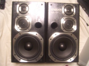 KENWOOD SPEAKER ROXY DG1 ペア 音出し確認良好 結構綺麗