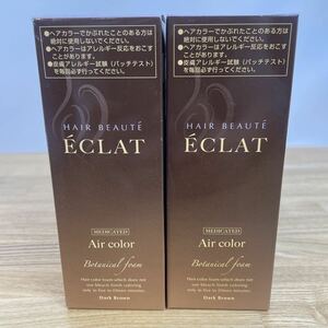 ヘアボーテエクラ ボタニカル エアカラーフォーム ダークブラウン 80g×1本