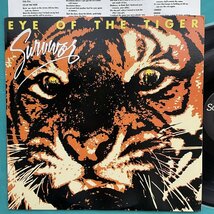 ☆美盤 SURVIVOR / EYE OF THE TIGER/SCOTTI BROS. FZ38062【US盤】 LP レコード アナログ盤 10339F3YK4_画像1