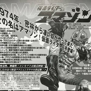 仮面ライダーアマゾン 額縁完成品（第1話） （検索用：シン・仮面ライダー1号 メディコム ccp rah hg S.H.フィギュアーツ CSM RMW)の画像3