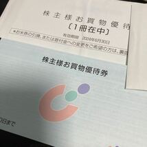 カワチ薬品 株主優待　500円２０枚_画像3