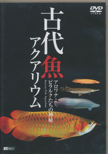 ＤＶＤ　古代魚アクアリウム　アロワナ・ピラルクたちの神秘