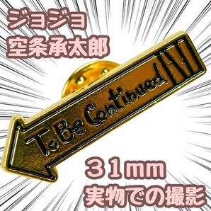 ジョジョの奇妙な冒険　空条承太郎　バッジ　ピンズ　続く31mm　国内【残5限定】