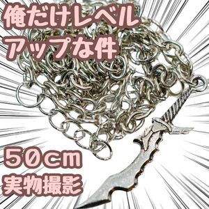 水篠旬　俺だけレベルアップな件　ネックレス　コスプレ　50cm　国内【残5限定】