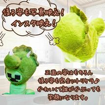 トリケラトプス　恐竜　帽子　コスプレ　ぬいぐるみ　被り物40cm【残5限定】_画像4