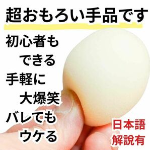 手品　マジック　スポンジ　たまご　白　卵　ハト　6cm2個【日本語説明有】