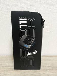 GoPro HERO 11 BLACK mini