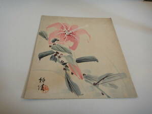 Art hand Auction und X-63 Farbiges Papier Aquarell Blume, Malerei, Aquarell, Natur, Landschaftsmalerei