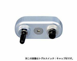 POSH ハーレー 1インチ用　ミニスイッチ　トグルスイッチ：フラットレバー　アルミ　オートキャンセル(P880241)