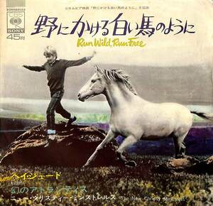 C00179677/EP/ニュー・クリスティー・ミンストレルス「野にかける白い馬のように:OST Run Wild Run Free 野にかける白い馬のように / Hey