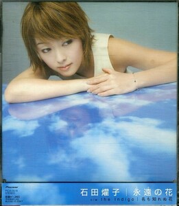 D00133296/CDS/石田燿子「藍より青し：永遠の花 / 名も知れぬ花」