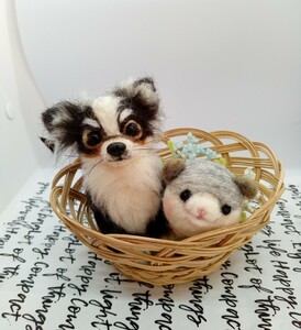  hand made wool felt chihuahua hamster 