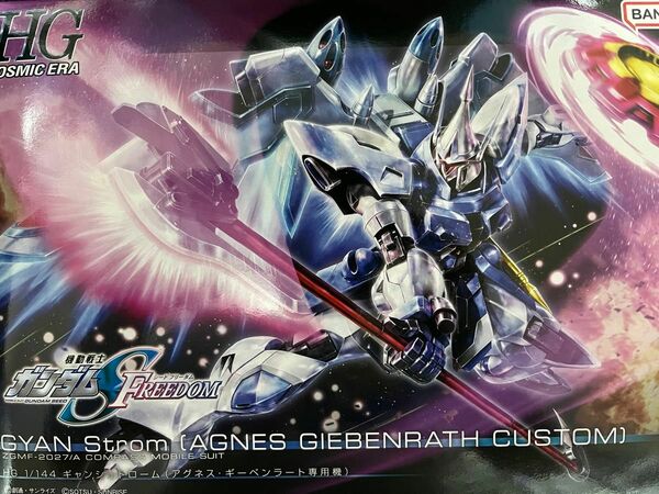 HG 1/144 ギャンシュトローム（アグネス・ギーベンラート専用機 新品 未組立 機動戦士ガンダムSEED FREEDOM