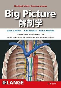 [A01446800]Big Picture 解剖学 (Lange Textbook シリーズ)