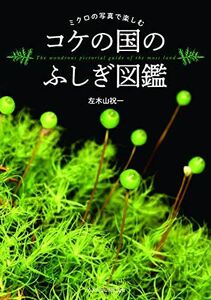 [A12288527]コケの国のふしぎ図鑑