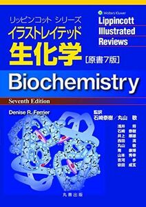 [A11249522]イラストレイテッド生化学 原書7版 (リッピンコットシリーズ) 石崎 泰樹; 丸山 敬