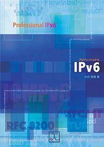 [A11091676] Professional IPv6