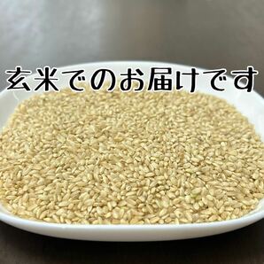 【送料無料】玄米24kg 有機栽培 無農薬 天日干し 令和5年静岡県産 オーガニック 特別栽培米 マクロビ 有機農法 自然農法 自然栽培 お米の画像2