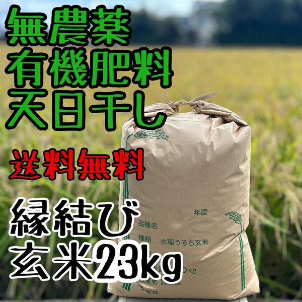 玄米23kg 有機栽培 無農薬 天日干し R5年静岡産 特別栽培米 お米