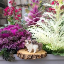 やんのかステップ豆ネコ＊長毛猫 羊毛フェルト ハンドメイド 猫 子猫 ドールハウス ミニチュア ブライス ペット _画像6