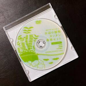【稀少品】ADA 非売品DVD 水辺の植物カンタン栽培セット メイキングDVD ／アクアデザインアマノの画像1