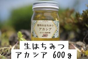 アカシア 生はちみつ 600g 国産　蜂蜜 【生産者直送】