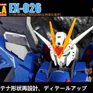 【ANUBIS】1/144 HG ライジング フリーダム 用 改造パーツ ディテールアップ 3Dプリント品 EX-026 SEED 未塗装 未組立 新品の画像5